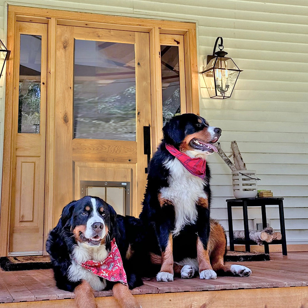 Exterior Door Install Pet Door Door Installed Exterior Door With