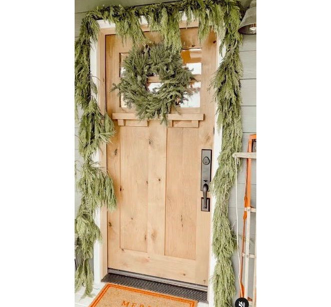 Craftsman Knotty Alder 6 Lite Glass Exterior Door with Dentil Shelf - Krosswood