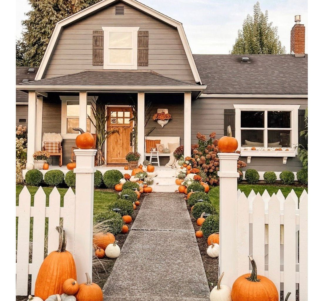 Craftsman Knotty Alder 6 Lite Glass Exterior Door with Dentil Shelf - Krosswood