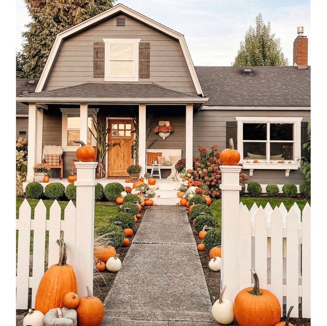 Craftsman Knotty Alder 6 Lite Glass Exterior Door with Dentil Shelf - Krosswood