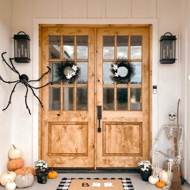 Farmhouse Knotty Alder 9 Lite Glass Exterior Double Door - Krosswood