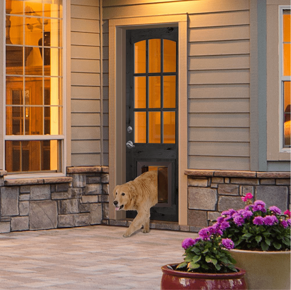 Arch Top Knotty Alder Wood Clear Glass Exterior Door with Dog Door