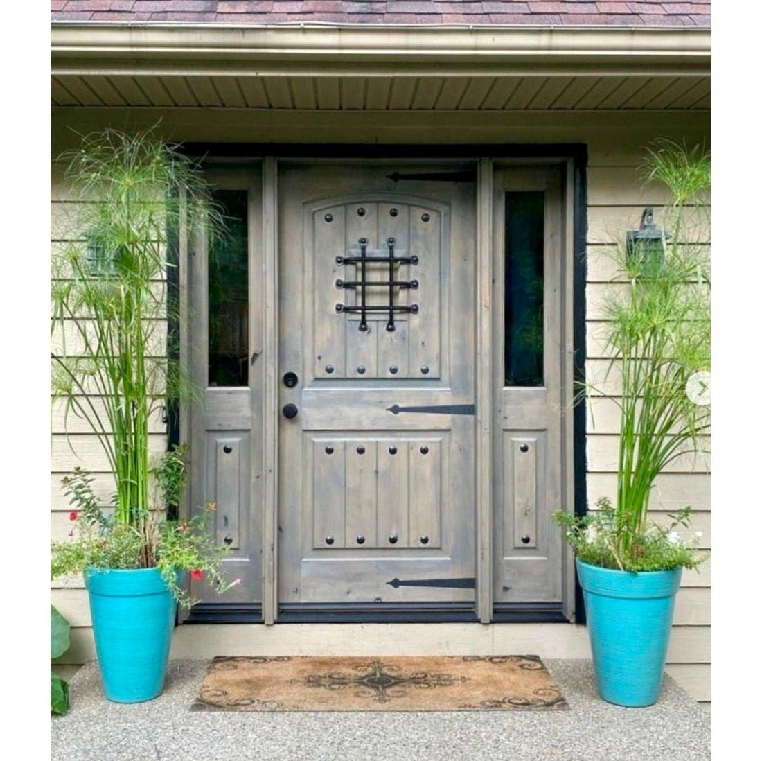 Mediterranean Knotty Alder Arch Top Speakeasy Exterior Door - Krosswood