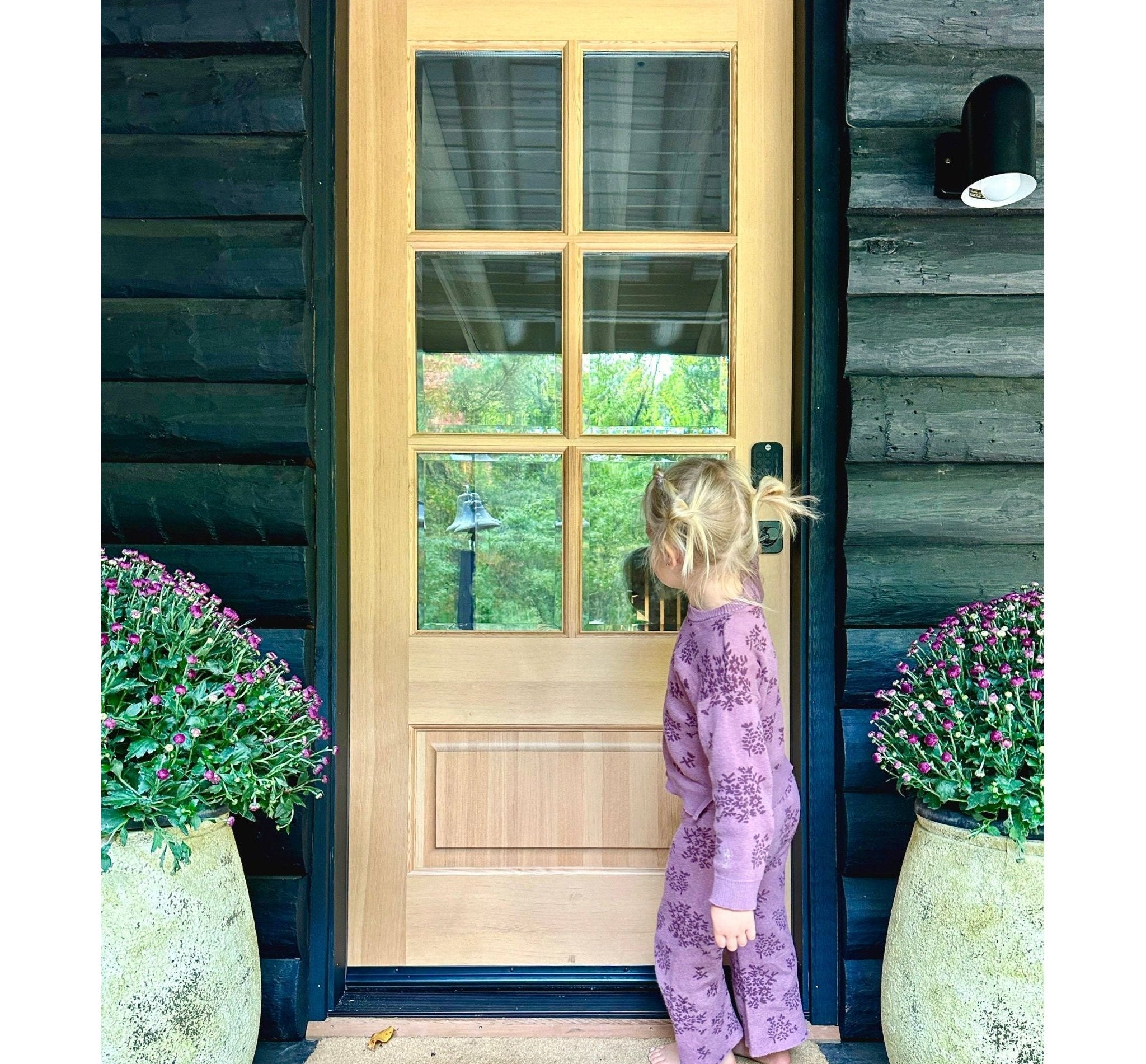 Modern Douglas Fir 6 Lite Clear Glass Exterior Door - Krosswood