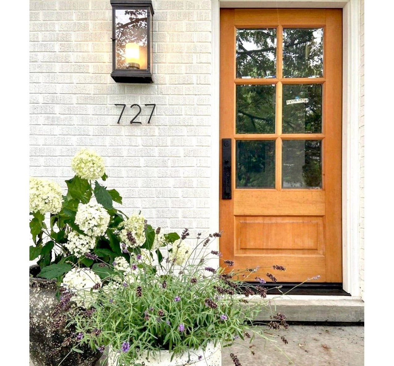 Modern Douglas Fir 6 Lite Clear Glass Exterior Door - Krosswood