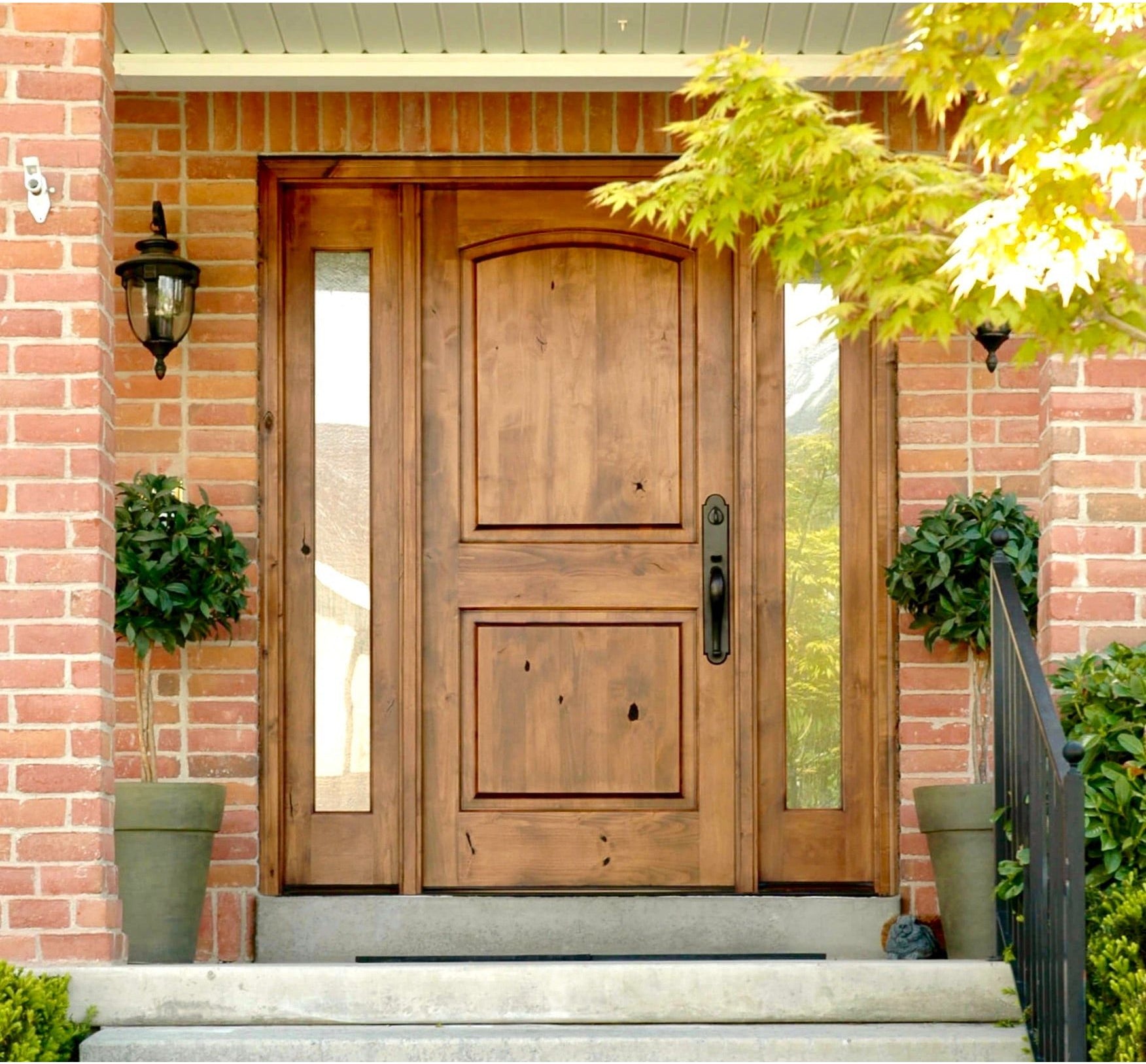 Rustic Knotty Alder 2 Panel Arch Top Exterior Door - Krosswood