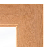 ASCEND Faux Pivot Modern Glass Window Fiberglass Front Double Door