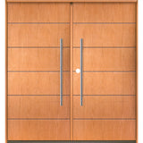 TETON Faux Pivot Modern Fiberglass Front Double Door