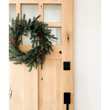 Craftsman Knotty Alder 6 Lite Clear Glass Exterior Door - Krosswood