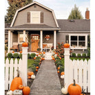 Craftsman Knotty Alder 6 Lite Glass Exterior Door with Dentil Shelf - Krosswood