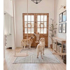 Knotty Alder 9-Lite Clear Glass Exterior Door with Large Dog Door - Krosswood