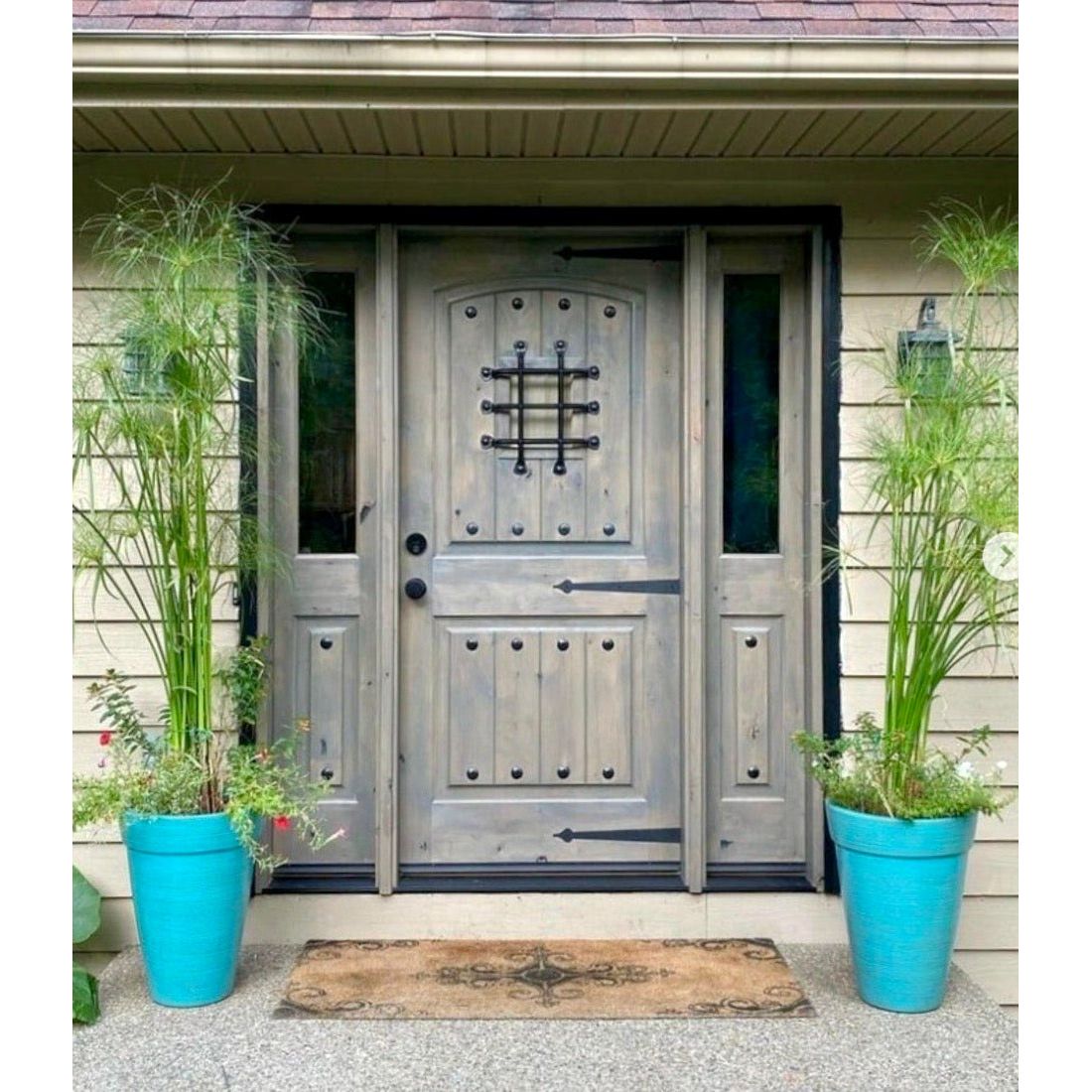 Mediterranean Knotty Alder Arch Top Speakeasy Exterior Door - Krosswood