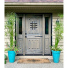 Mediterranean Knotty Alder Arch Top Speakeasy Exterior Door - Krosswood