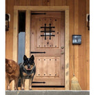 Mediterranean Knotty Alder Arch Top Speakeasy Exterior Door - Krosswood