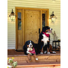 Rustic Knotty Alder 2 Panel Square Top V-Groove Exterior Door - Krosswood