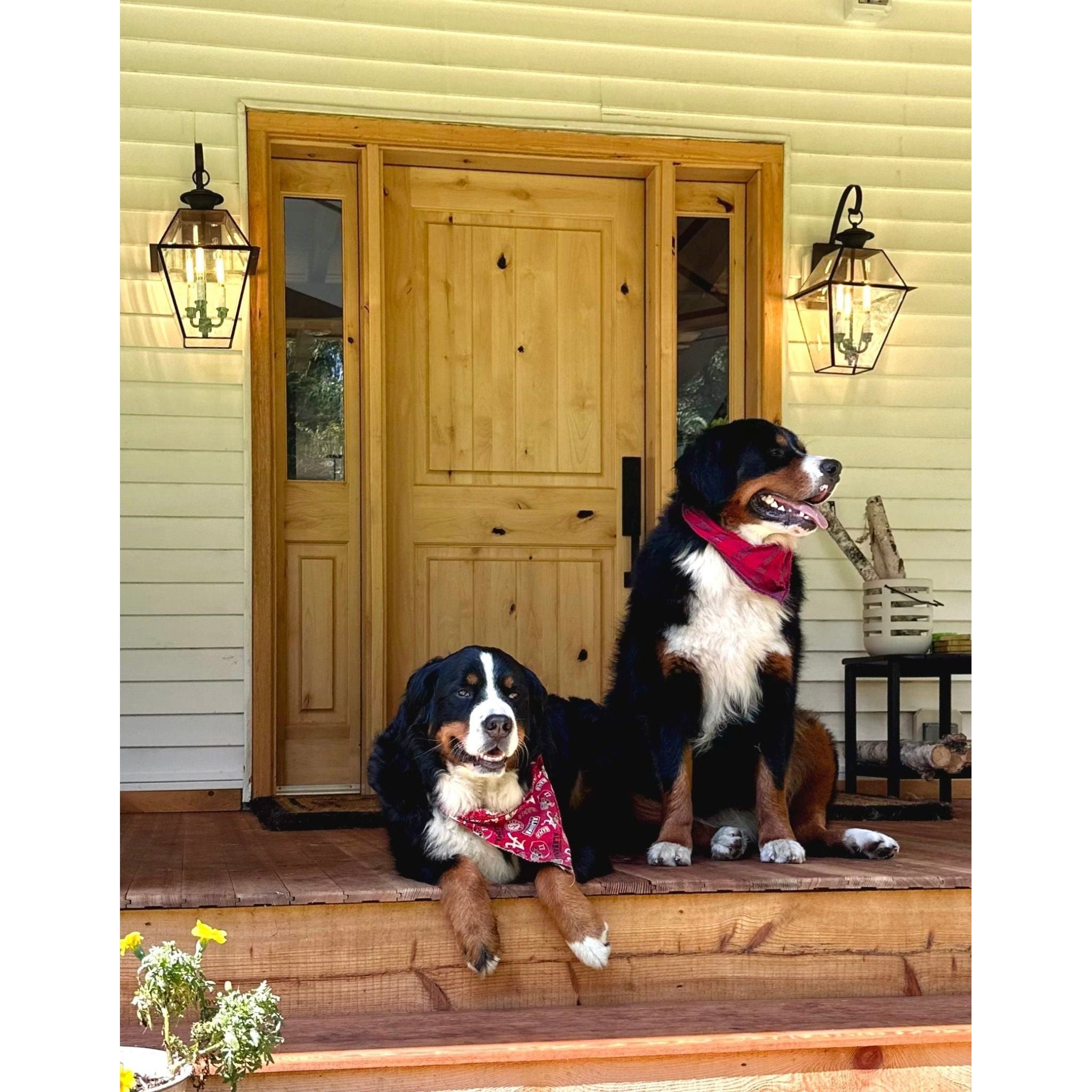 Rustic Knotty Alder 2 Panel Square Top V-Groove Exterior Door - Krosswood